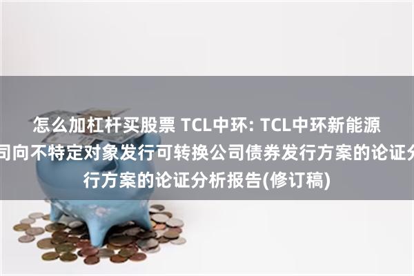 怎么加杠杆买股票 TCL中环: TCL中环新能源科技股份有限公司向不特定对象发行可转换公司债券发行方案的论证分析报告(修订稿)