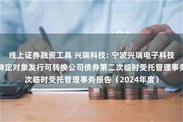 线上证券融资工具 兴瑞科技: 宁波兴瑞电子科技股份有限公司向不特定对象发行可转换公司债券第二次临时受托管理事务报告（2024年度）