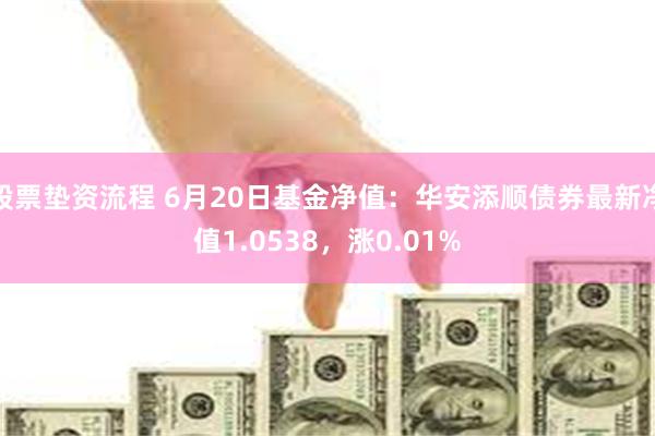 股票垫资流程 6月20日基金净值：华安添顺债券最新净值1.0538，涨0.01%