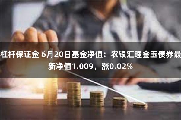 杠杆保证金 6月20日基金净值：农银汇理金玉债券最新净值1.009，涨0.02%