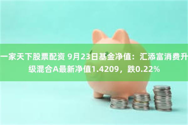 一家天下股票配资 9月23日基金净值：汇添富消费升级混合A最新净值1.4209，跌0.22%