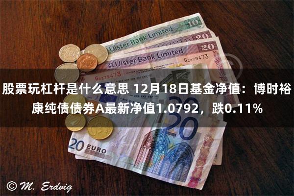 股票玩杠杆是什么意思 12月18日基金净值：博时裕康纯债债券A最新净值1.0792，跌0.11%